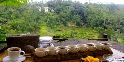 coffee-plantation-tour-ubud
